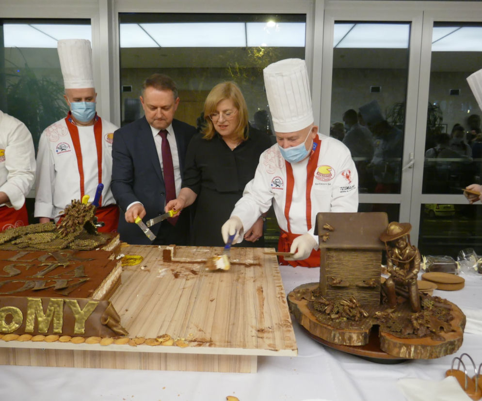 Tort z pszczołami na urodziny Rzeszowa [ZDJĘCIA]