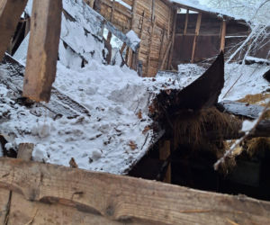 Dach stodoły runął pod naporem śniegu. W środku były zwierzęta