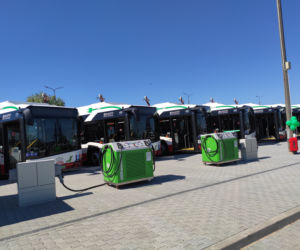 Naprądek i jego koledzy wyjadą jutro na drogi - Miasto odebrało elektryczne autobusy