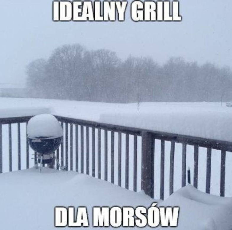 Morsowanie: MEMY 2021. Zobacz najlepsze obrazki i memy o morsowaniu! [ZDJĘCIA]