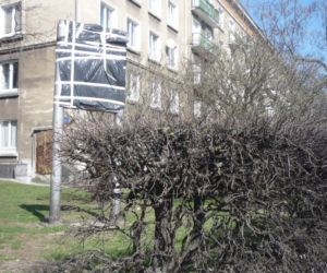 Widok z okna godny pozazdroszczenia...