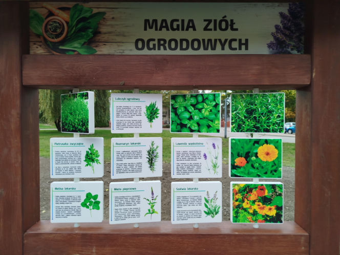 Park kieszonkowy przy ul. Żytniej w Siedlcach