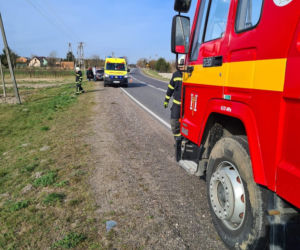 Leżała w rowie ciężko ranna, zmarła w szpitalu! Policja w Płońsku poszukuje sprawcy makabrycznego wypadku [ZDJĘCIA]