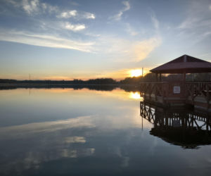 Plaża w Osiecznej