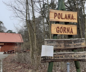 Drzewka i rekreacja na Barbarce