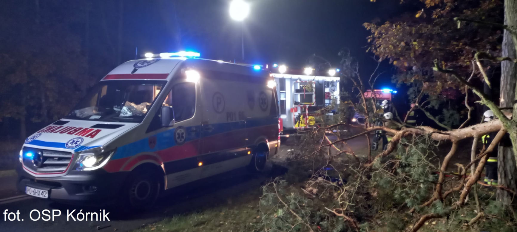 ŚMIERĆ dwóch 18-latków! Nocny dramat na drodze pod Poznaniem