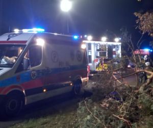ŚMIERĆ dwóch 18-latków! Nocny dramat na drodze pod Poznaniem