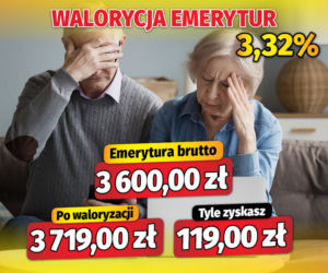 Fiszki waloryzacyjne
