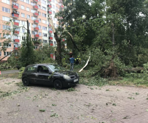 Jedną z dzielnic, któa ucierpiała najbardziej był Czechów Południowy