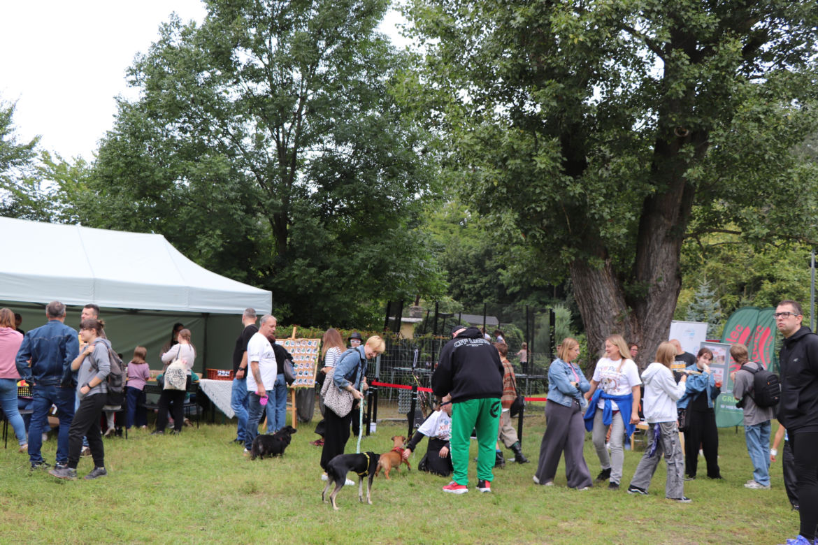 XIII Piknik Przyjaciół Schroniska w Toruniu. Fotorelacja z imprezy