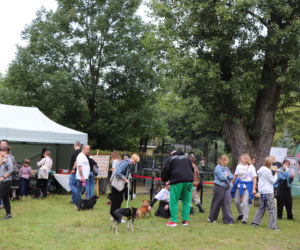 XIII Piknik Przyjaciół Schroniska w Toruniu. Fotorelacja z imprezy