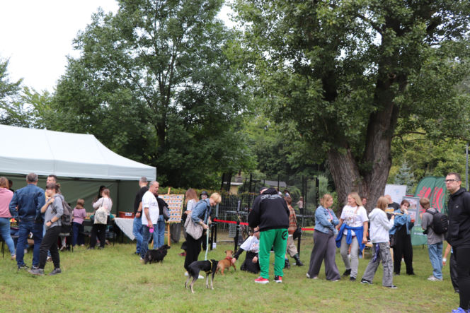 XIII Piknik Przyjaciół Schroniska w Toruniu. Fotorelacja z imprezy