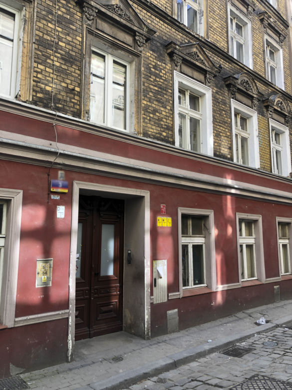 Plaga szczurów we Wrocławiu