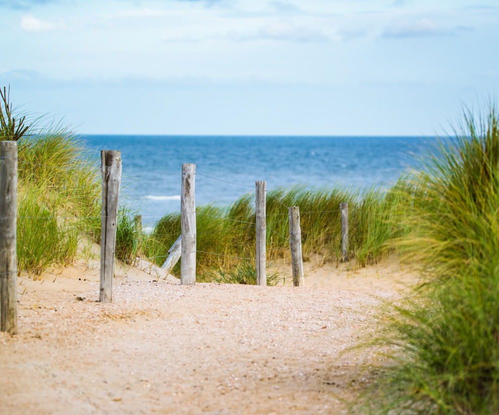 W tym roku gdańskie plaże były najchętniej odwiedzanym miejscem w wakacje