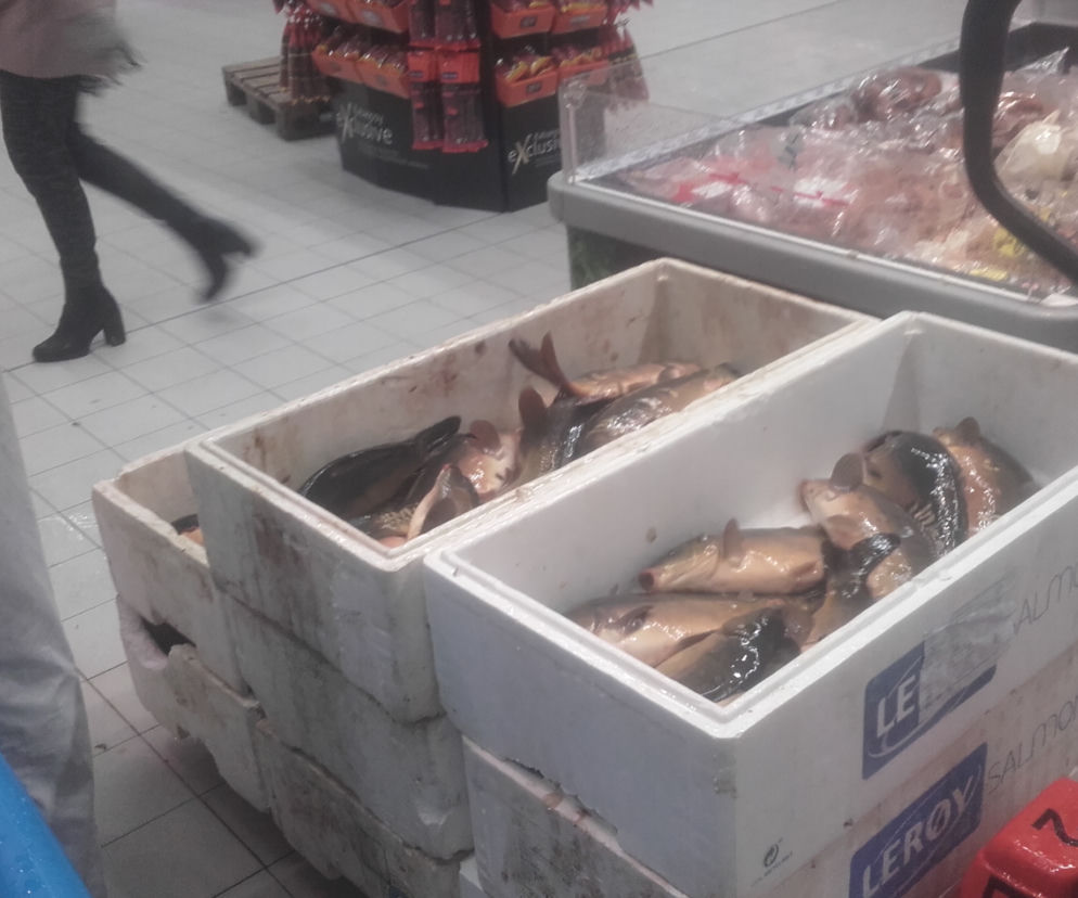 Tak sprzedawane są karpie w jednym z popularnych marketów