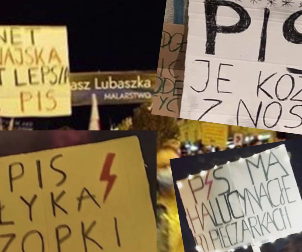 Hasła rewolucji kartonowej. 