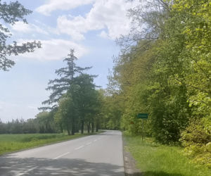 Jedno z najstarszych miast w Polsce leży w województwie łódzkim. Można w nim spotkać gigantycznego pająka!