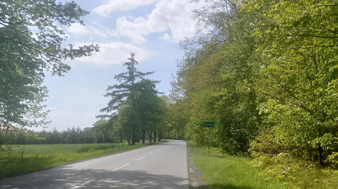Jedno z najstarszych miast w Polsce leży w województwie łódzkim. Można w nim spotkać gigantycznego pająka!