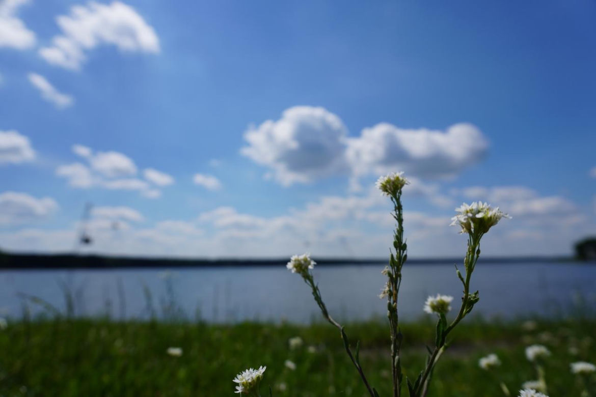 Lublinianie ruszyli nad Zalew Zemborzycki. Tak spędzili pierwszy weekend wakacji nad "lubelskim morzem"