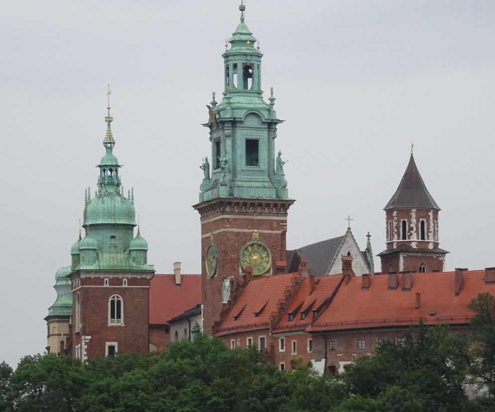 katedra wawelska