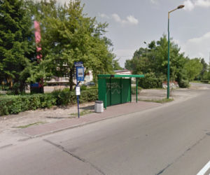 Niwka Baza (Sosnowiec)