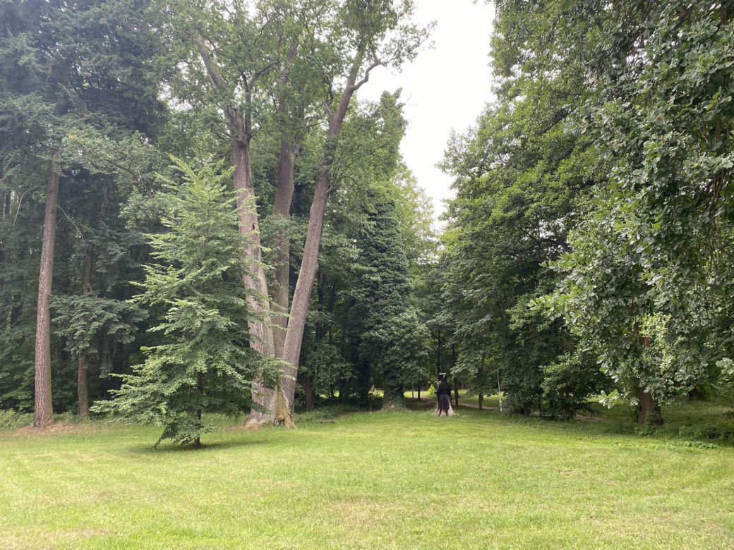 Pałac w Przytoku