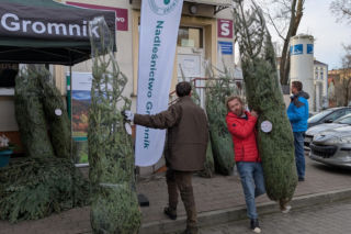Choinka dla życia
