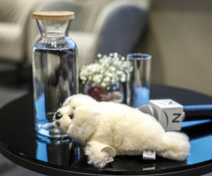 Konferencja WWF i Hotelu Novotel