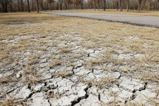 Upały dotrą w ten weekend do Gdańska. Termometry poszybują do 32 stopni Celsjusza