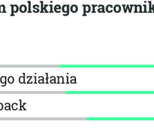 programiści