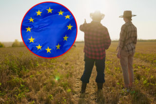 Rolnicy tracą na zbożu. UE chce robić z niego paliwo 