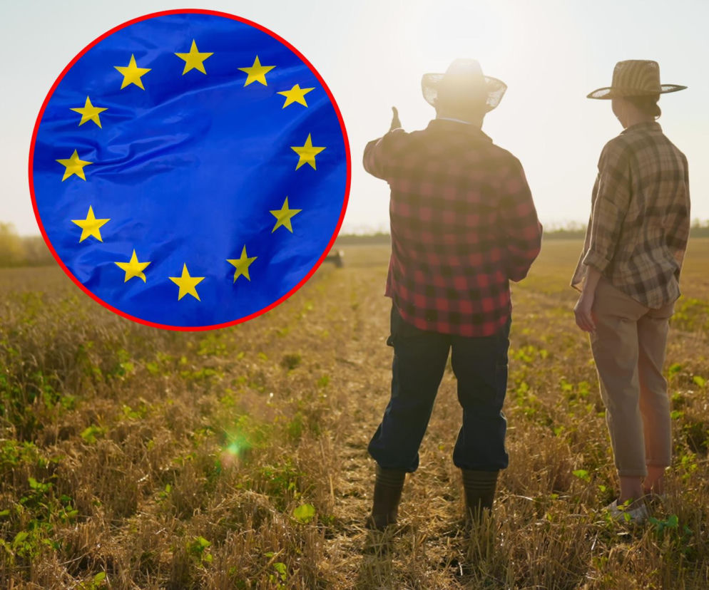 Dwóch rolników w kapeluszach stoi na polu, wskazując w dal. Na pierwszym planie widać flagę Unii Europejskiej z czerwoną obwódką. Obraz symbolizuje dyskusję o przyszłości rolnictwa i produkcji biopaliw, o czym szerzej przeczytasz na Super Biznes.