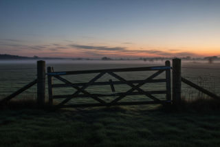 Makabra w Sieroszewicach. Kto celowo zagryzł zwierzęta w agroturystyce?
