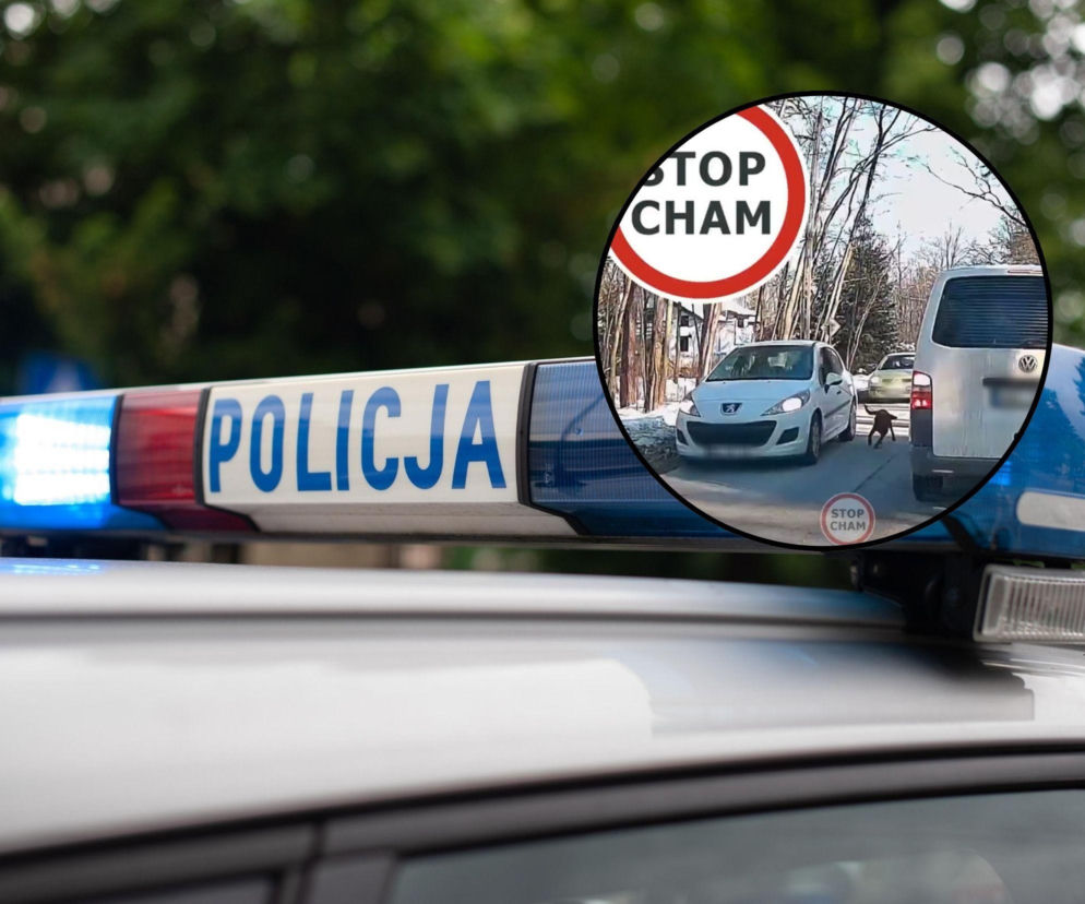 Ciągnął psa na smyczy obok samochodu. Sprawą zajęła się stołeczna policja