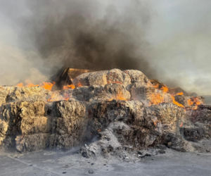 Gdynia pożar hali magazynowej