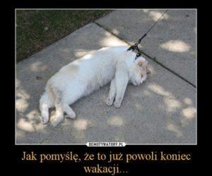 Najlepszy z okazji zakończenia wakacji i początku roku szkolnego!