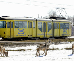 Wraca najdłuższa linia tramwajowa w Polsce?  Radni dali zielone światło