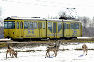 Wraca najdłuższa linia tramwajowa w Polsce?  Radni dali zielone światło
