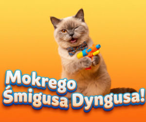 Kartki na Lany Poniedziałek