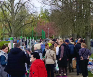 Pchli targ na Pogodnie