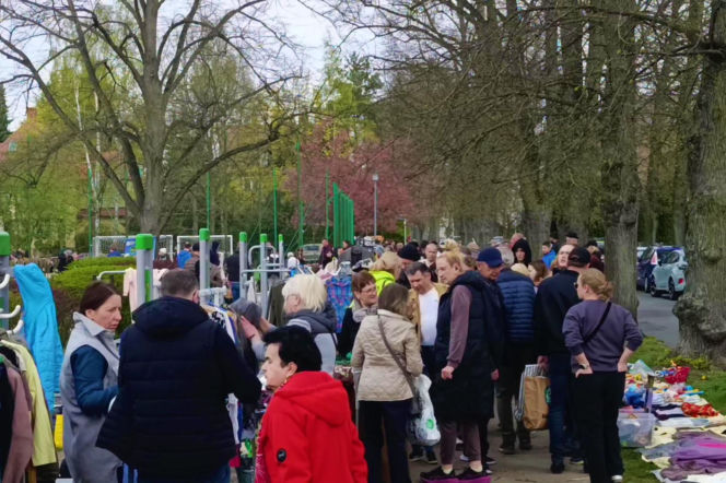 Pchli targ na Pogodnie