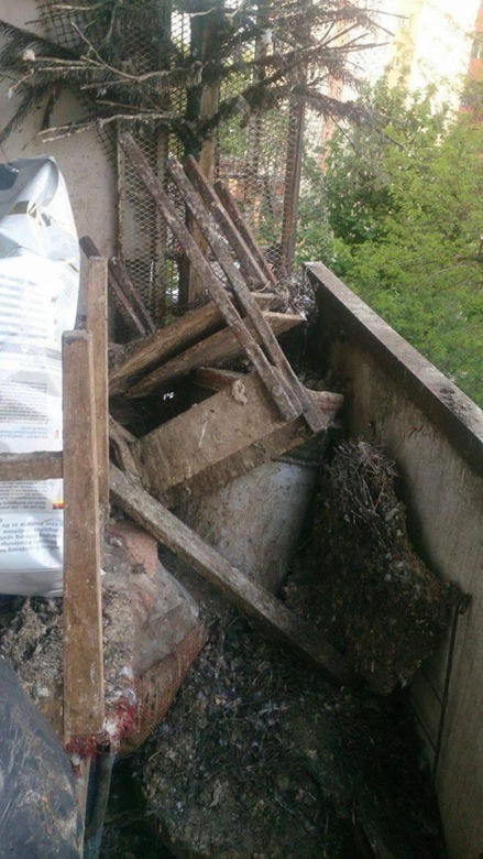 Przerażające odkrycie w Krakowie: Padłe gołębie i metrowa warstwa ptasich odchodów na balkonie [AUDIO, ZDJĘCIA]