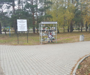 Wszystkich Świętych 2019. W Bydgoszczy przygotowania idą pełną parą!