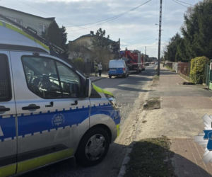 Akcja służb przy ul. Zielonej w Płocku