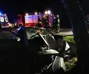 Groza na krajowej 6. Samochód ZMIAŻDŻONY na drzewie!