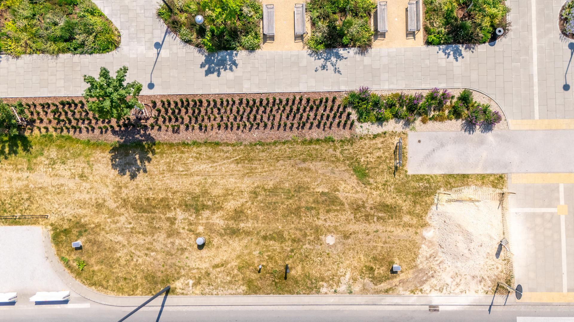 Park nad Południową Obwodnicą Warszawy w Warszawie