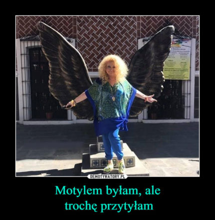 Ilustracja do artykułu