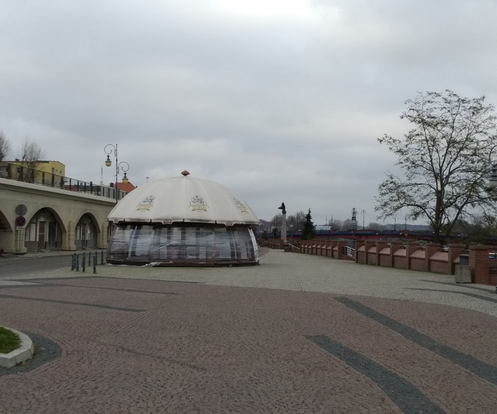 Gorzów bulwar grzyb