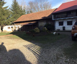 Kwaszyn. Zmielił ciotkę rozrzutnikime do trawy