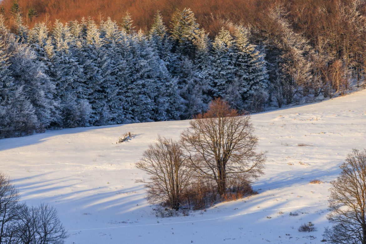 Beskid Niski